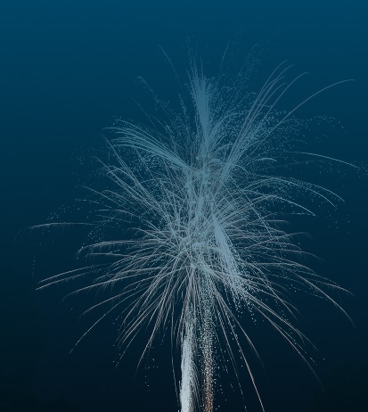 Secteur intervention : risques spéciaux